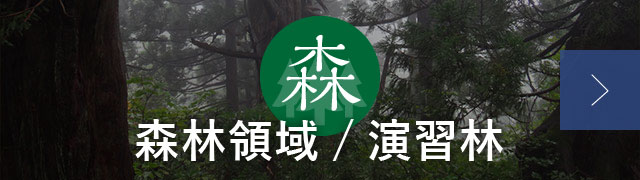 森林領域 演習林