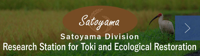 Satoyama