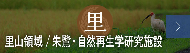 里山領域 朱鷺・自然再生学研究施設